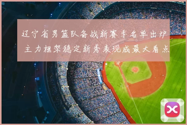 辽宁省男篮队备战新赛季名单出炉 主力框架稳定新秀表现成最大看点