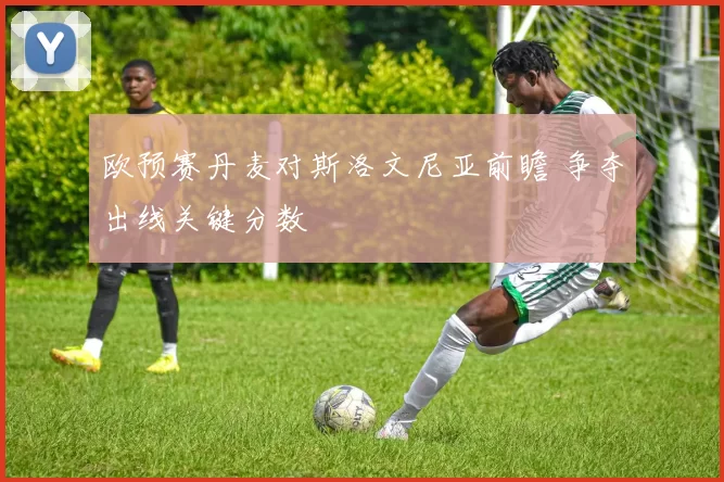 欧预赛丹麦对斯洛文尼亚前瞻 争夺出线关键分数