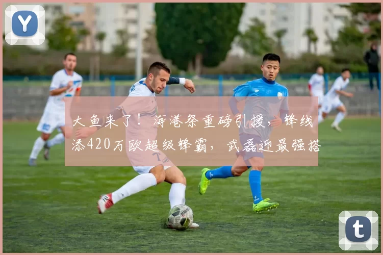 大鱼来了！海港祭重磅引援，锋线添420万欧超级锋霸，武磊迎最强搭档