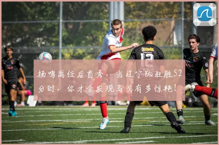 杨鸣离任后首秀,当辽宁队狂胜52分时,你才会发现乌戈有多惊艳!