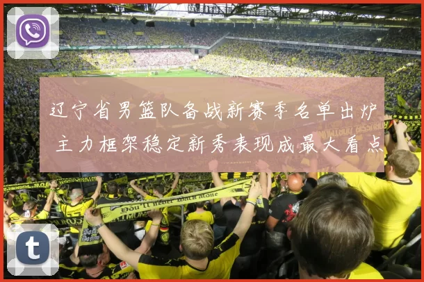 辽宁省男篮队备战新赛季名单出炉 主力框架稳定新秀表现成最大看点