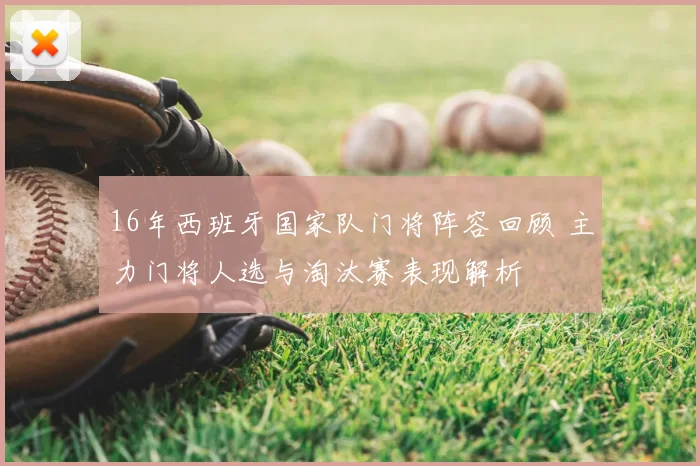 16年西班牙国家队门将阵容回顾 主力门将人选与淘汰赛表现解析