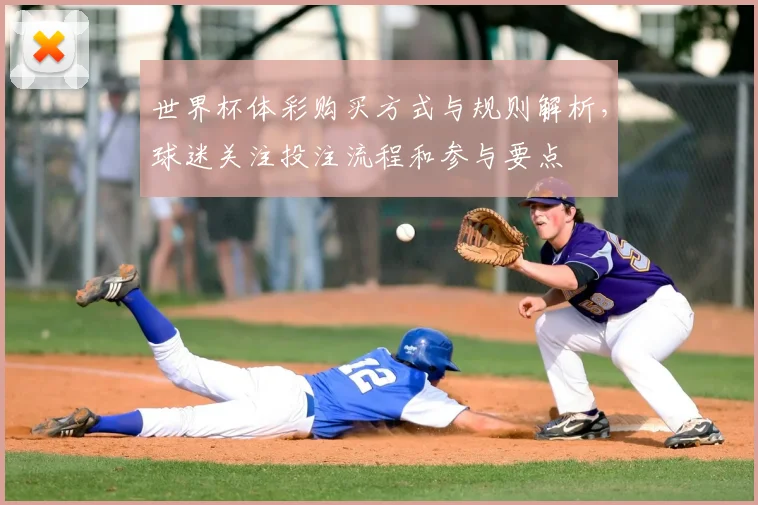 世界杯体彩购买方式与规则解析，球迷关注投注流程和参与要点