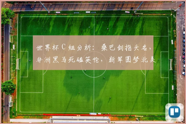 世界杯 C 组分析：桑巴剑指头名，非洲黑马死磕英伦，新军圆梦北美