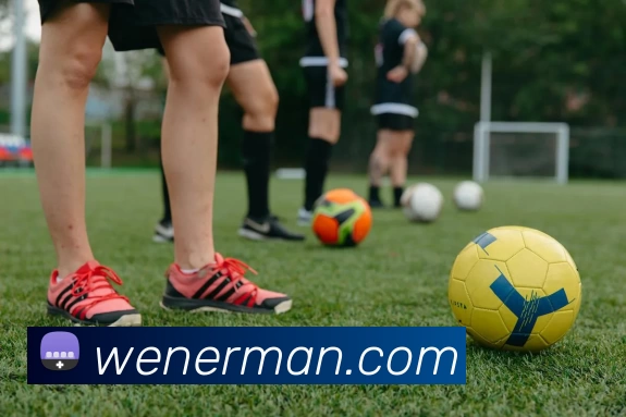 j9游会首页登录平台生态图